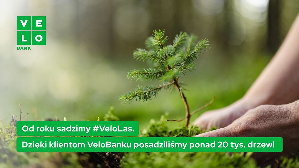 Grafika_Rok akcji #VeloLas.jpg [178.53 KB]